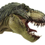 Rex